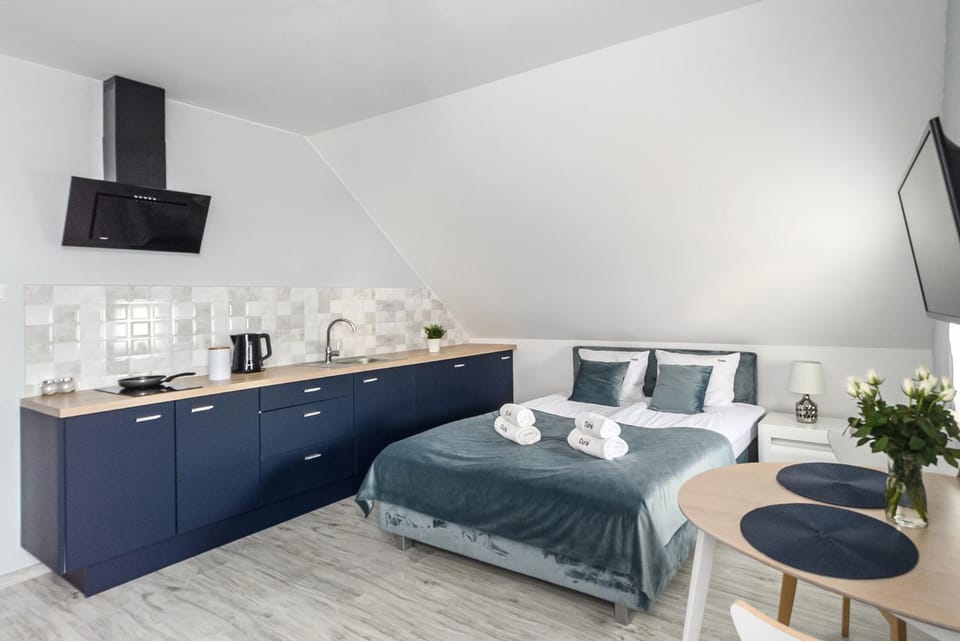 Bed, Kitchen or kitchenette, Living room, Photo of the whole room, Seating area, Dining area, Bedroom, stove