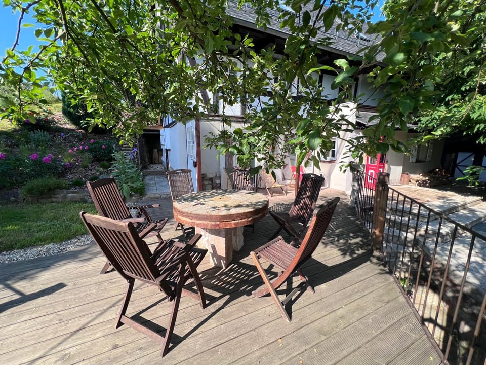 Patio, Day, Garden, Garden view