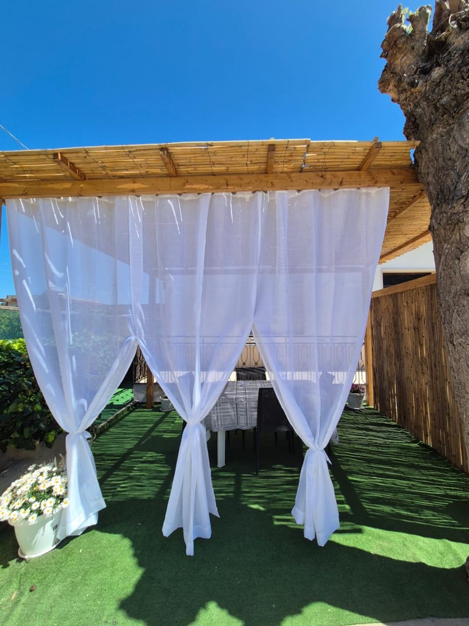 Patio, Day