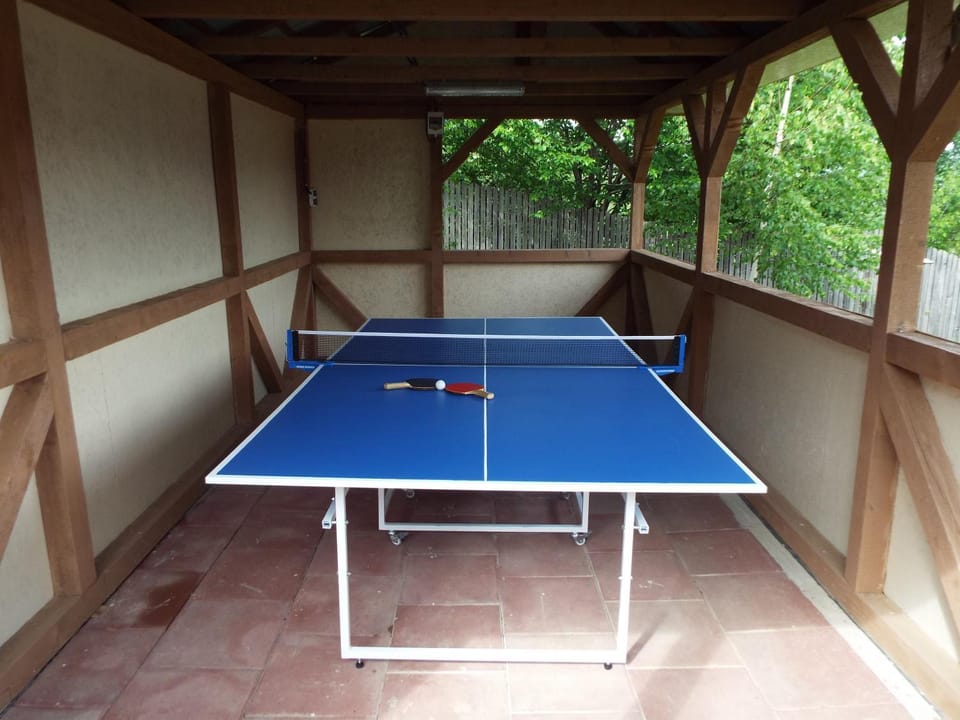 Table tennis