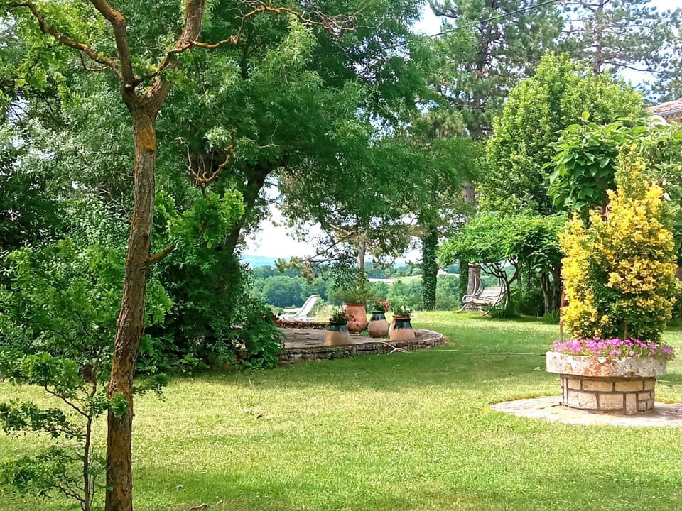 Spring, Natural landscape, Garden, Garden view