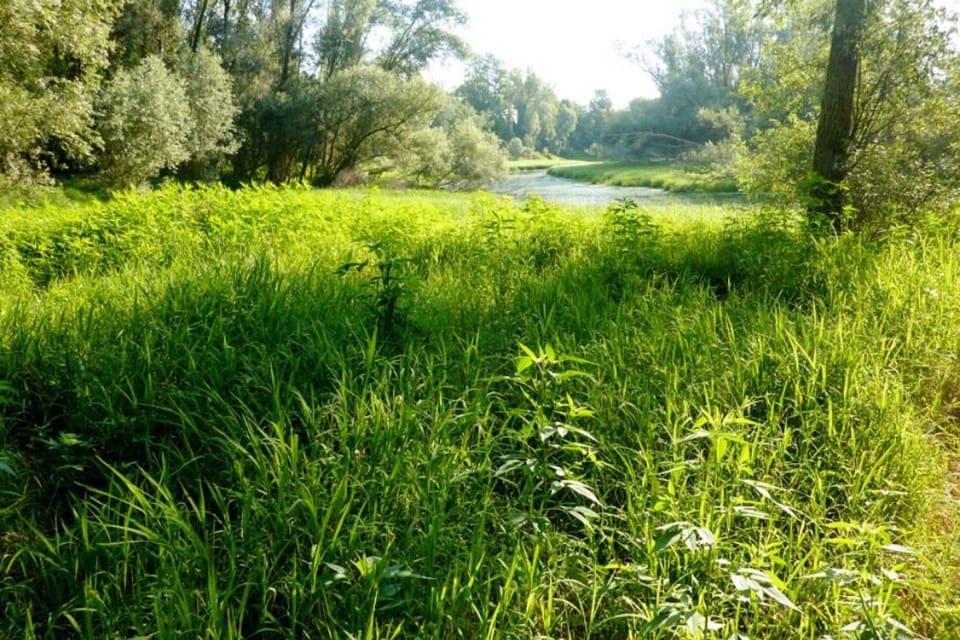 Natural landscape