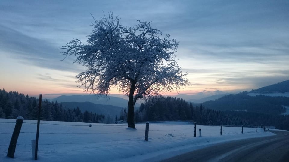 Natural landscape, Winter