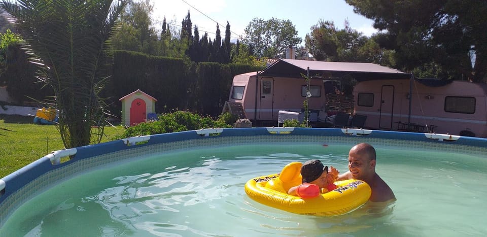 Natural landscape, Garden, Garden view, Swimming pool