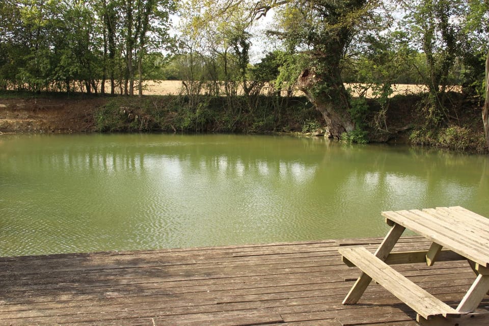 Lake view
