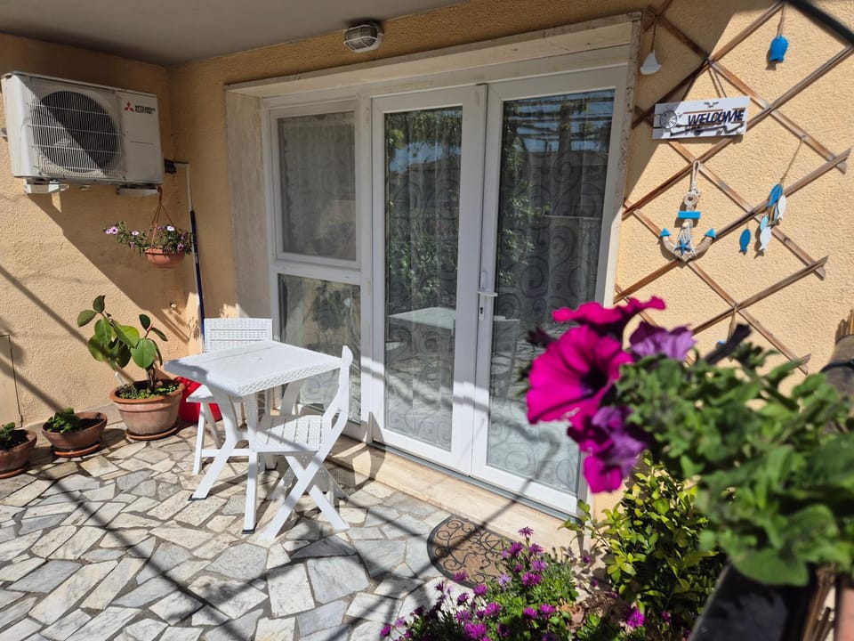 Casa Pergola d'uva House in Cecina