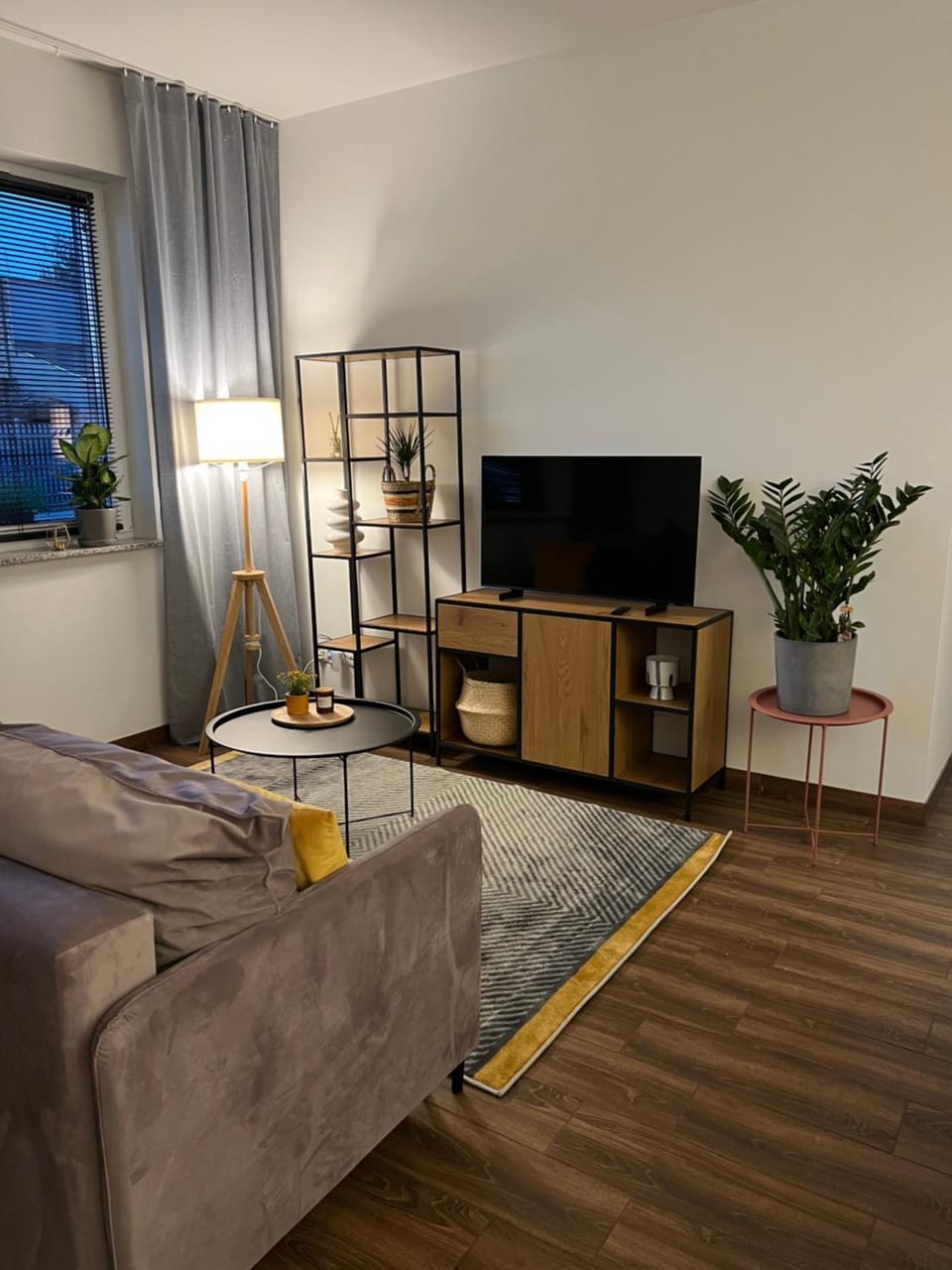 TV and multimedia