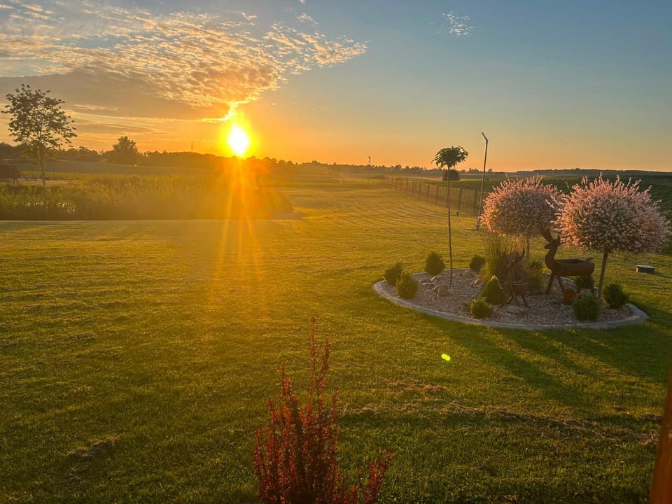 Domki nad stawem Nature lodge in Poland