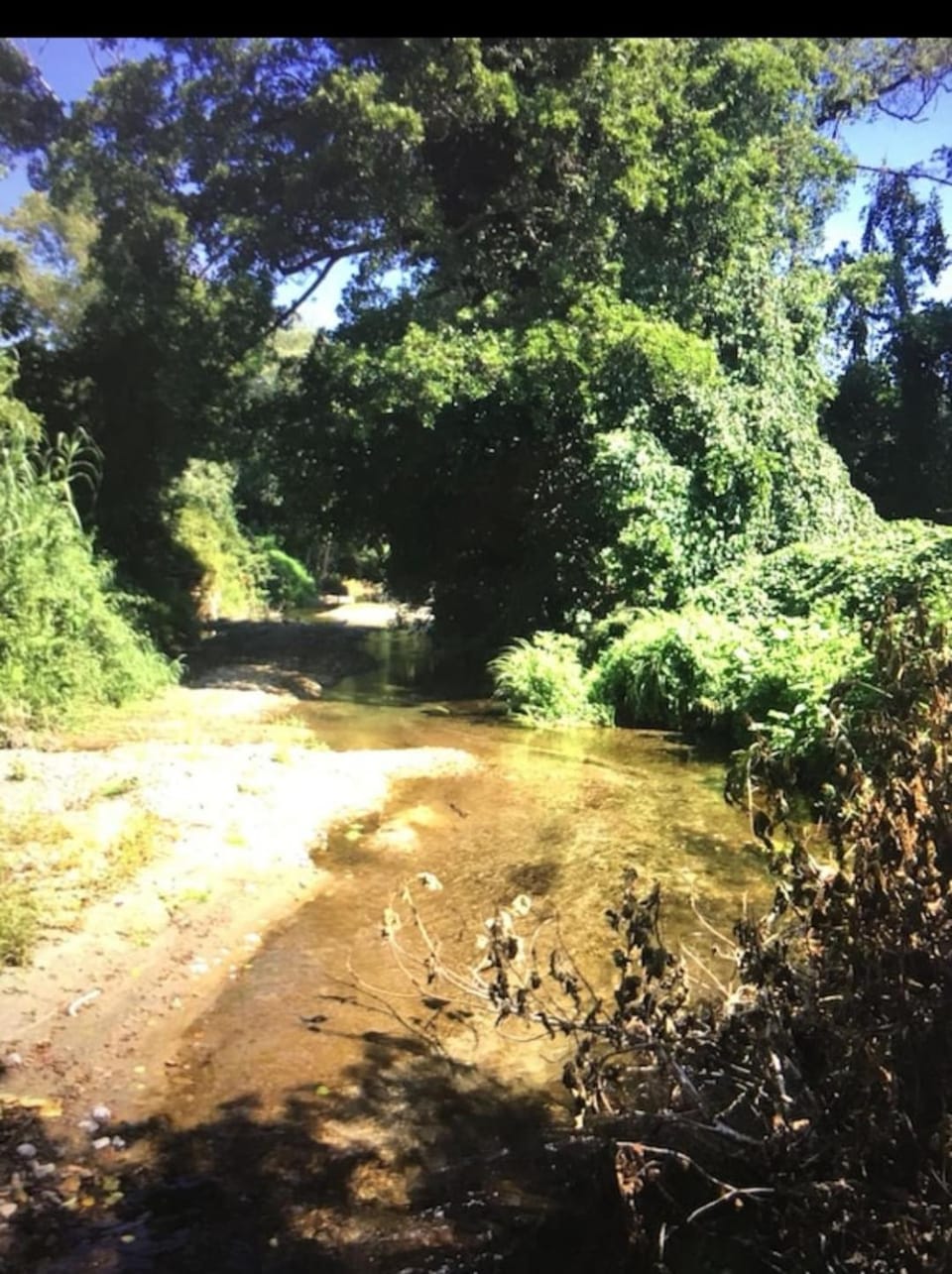 River view