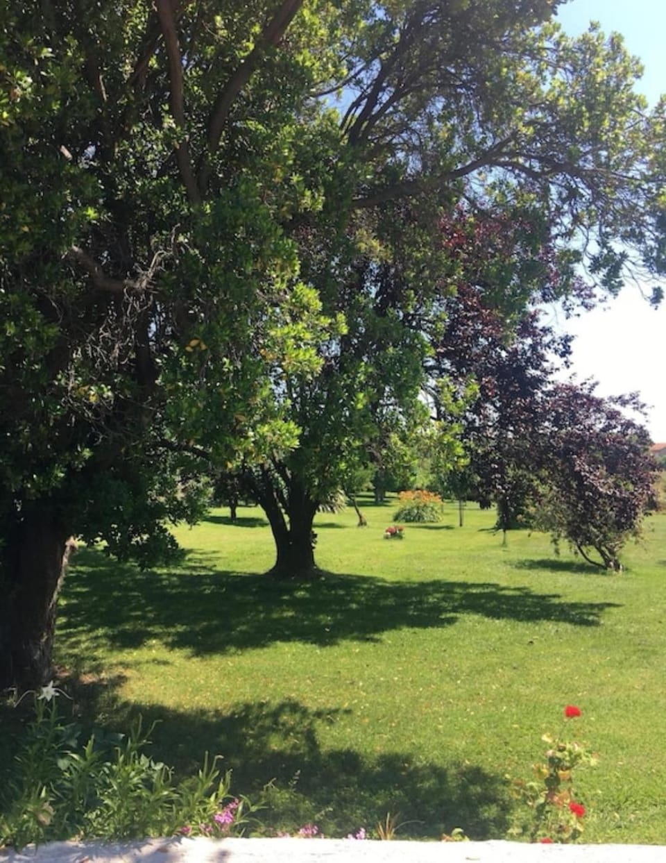 Garden view