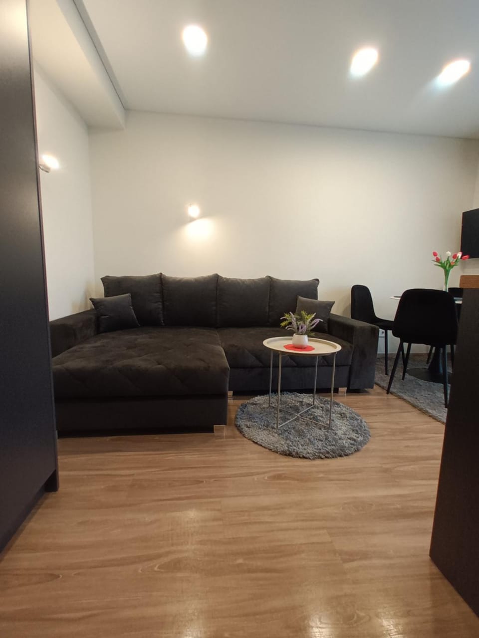 Raudonų plytų apartamentai Apartment in Palanga
