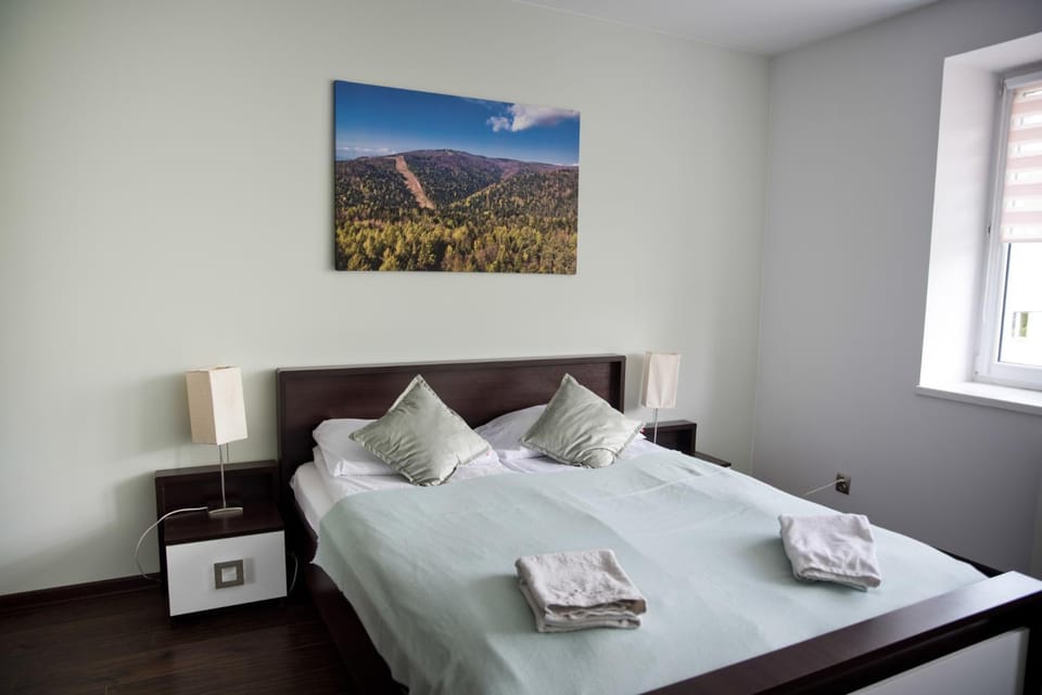 Go2Krynica - Deptak Apartment in Lesser Poland Voivodeship