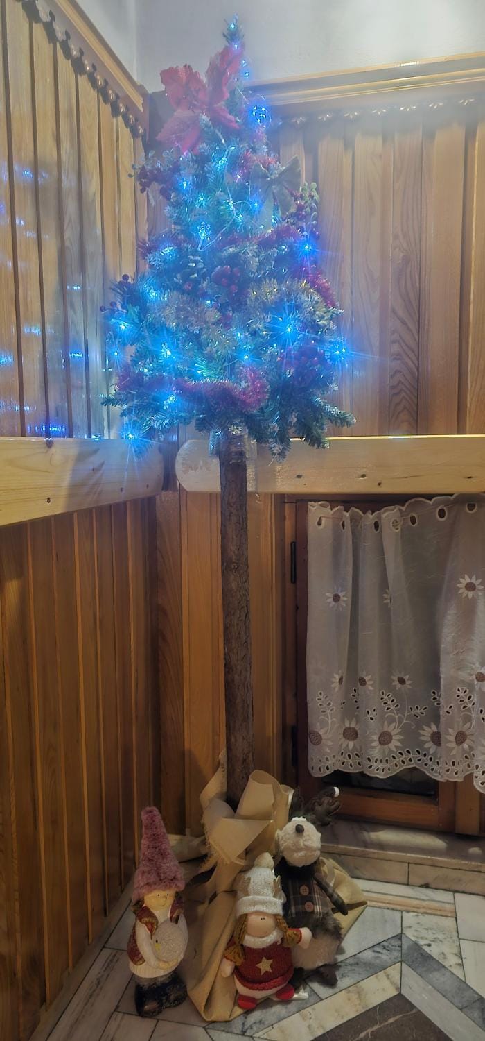 Willa Grzesiczek z widokiem na Tatry Bed and Breakfast in Zakopane
