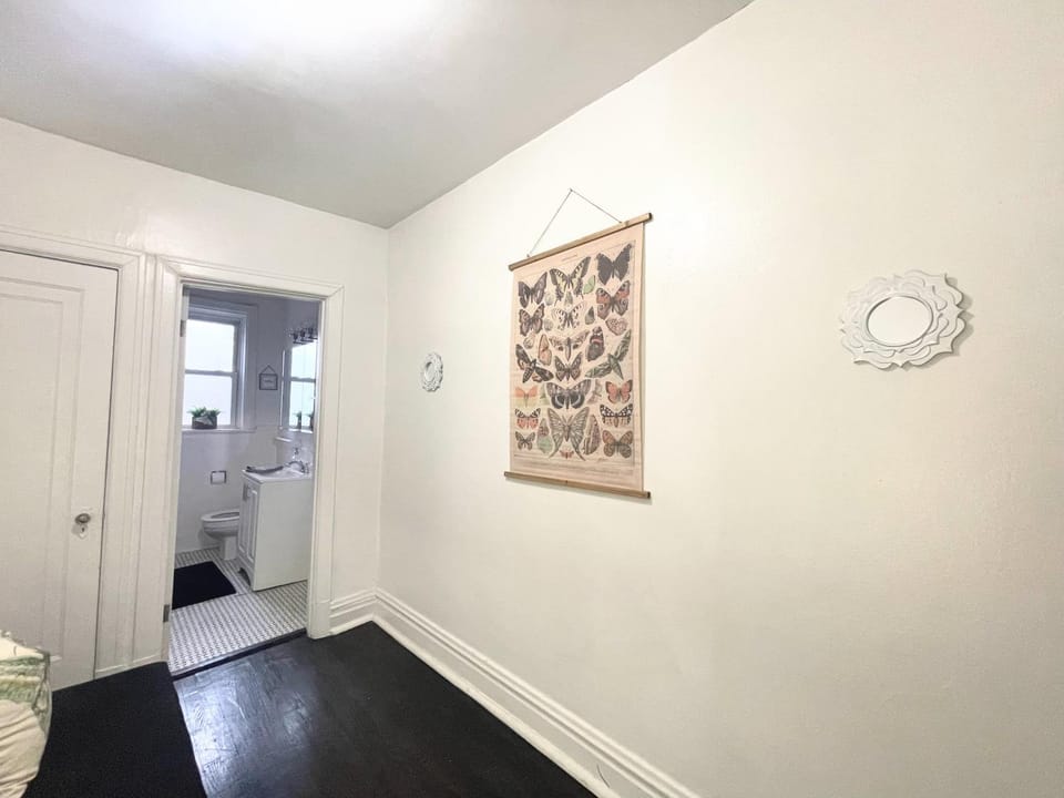 (49.1E) Garden style studio @ Forest Park & City! Apartment in Saint Louis