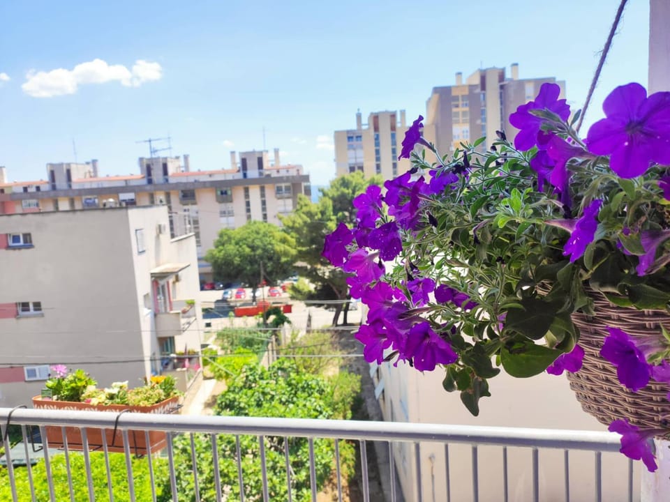 Neighbourhood, Balcony/Terrace, Street view