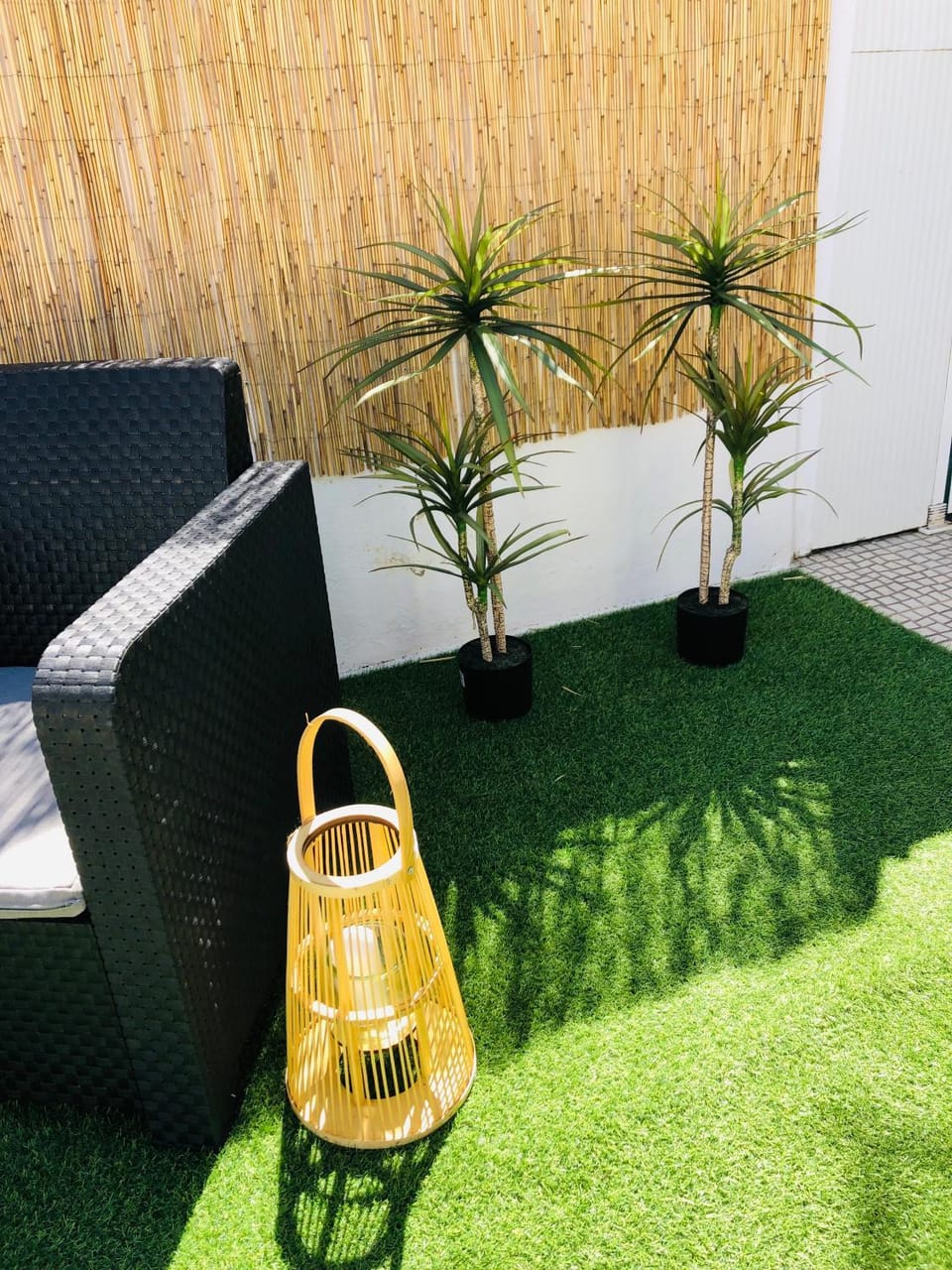 Day, Garden, Garden view