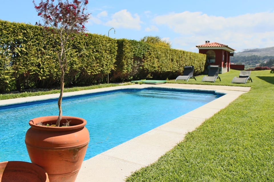 Garden, Garden view, Swimming pool, sunbed