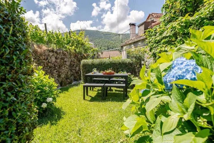 Garden, Garden view