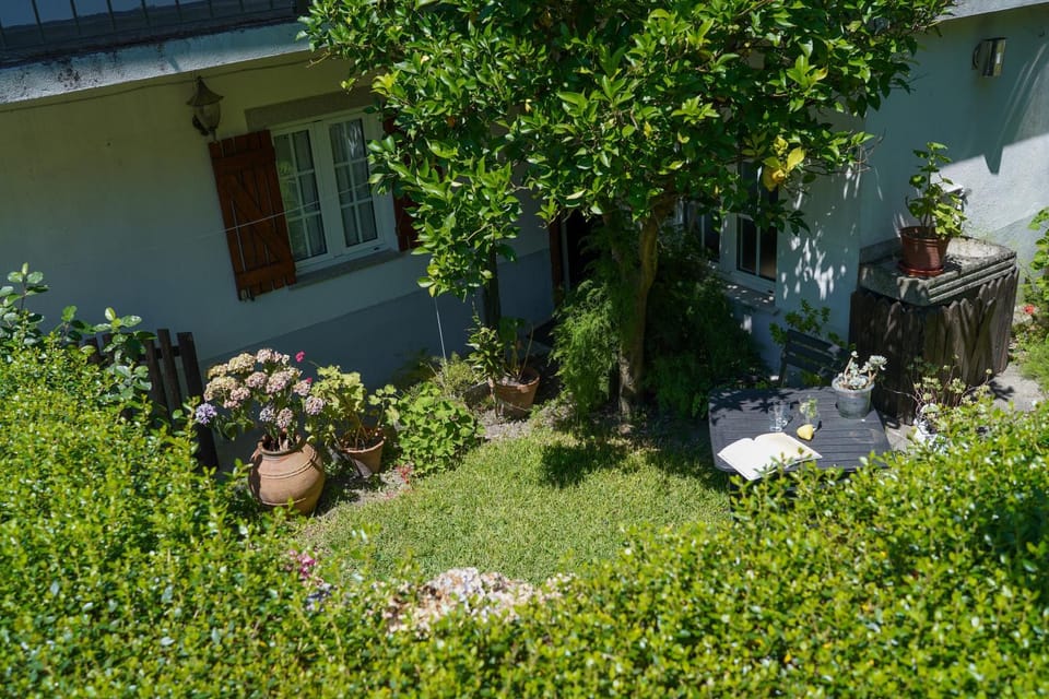Garden, Garden