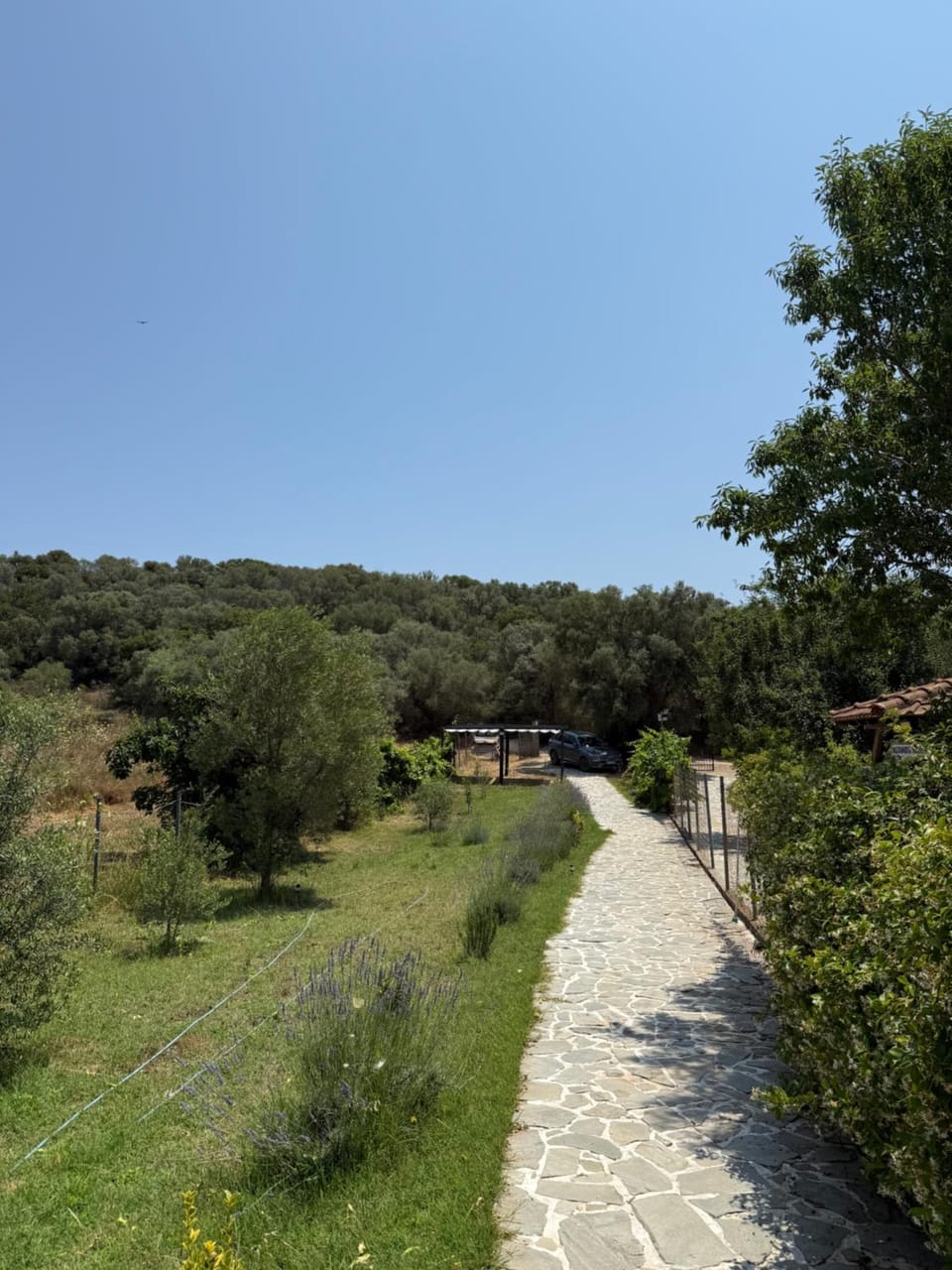 Villa Alexandros Villa in Halkidiki