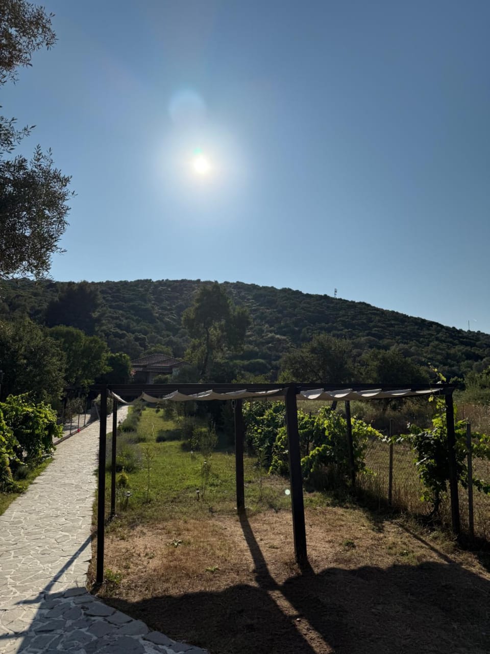 Villa Alexandros Villa in Halkidiki