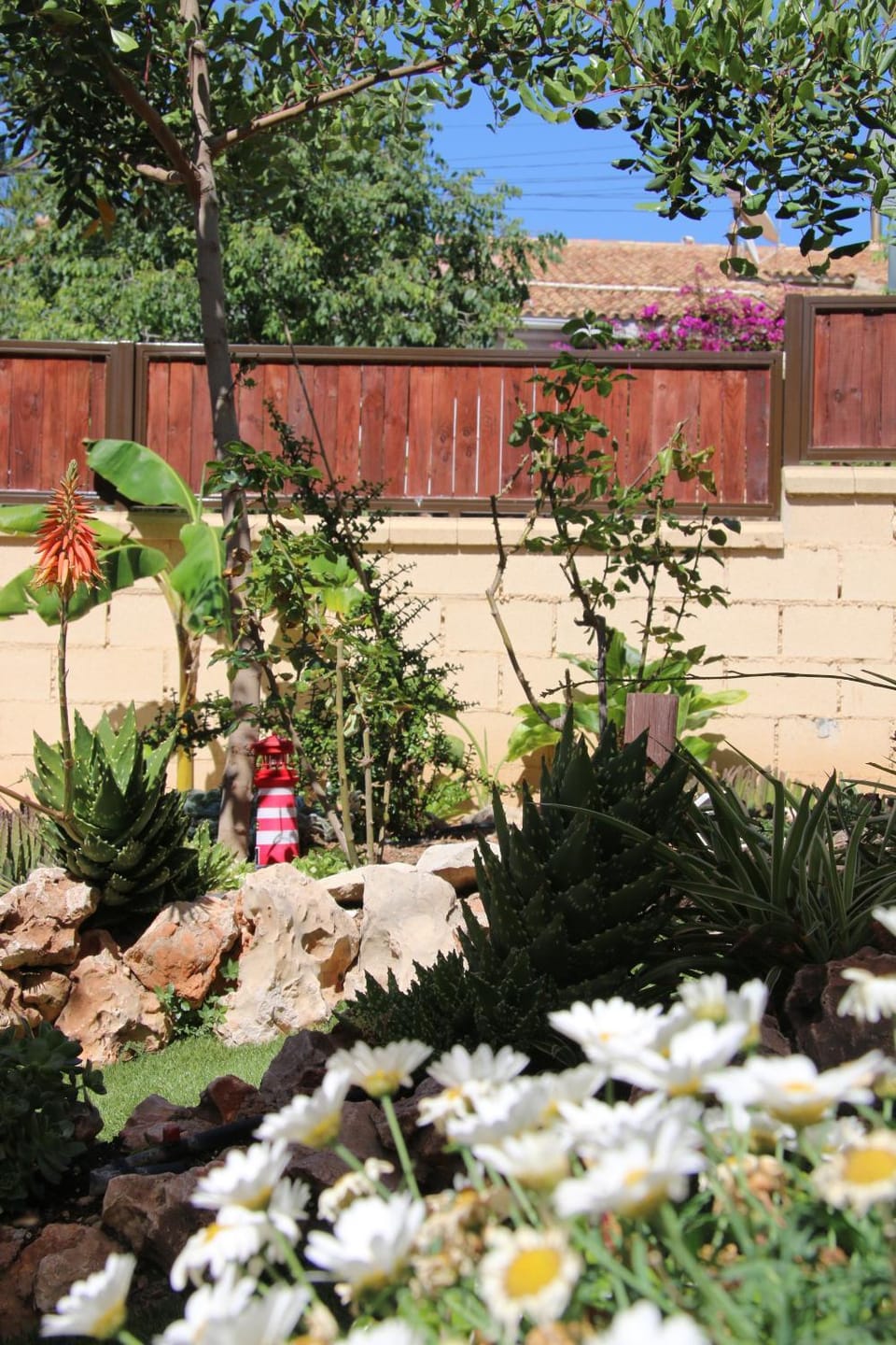 Spring, Day, Garden, Garden view