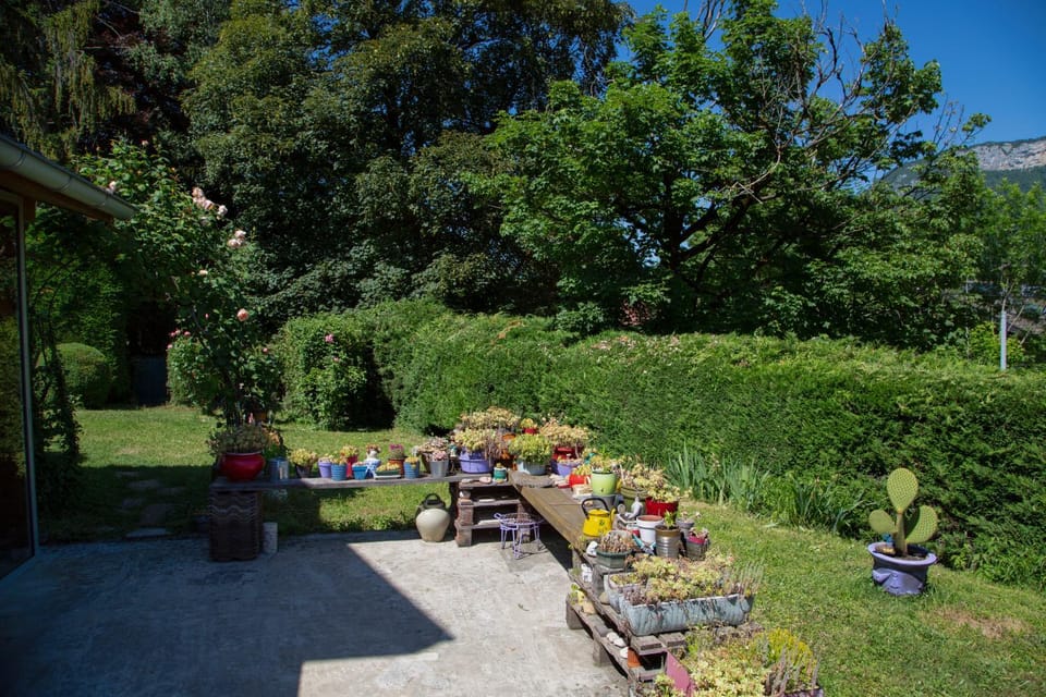 Natural landscape, Garden, Garden view