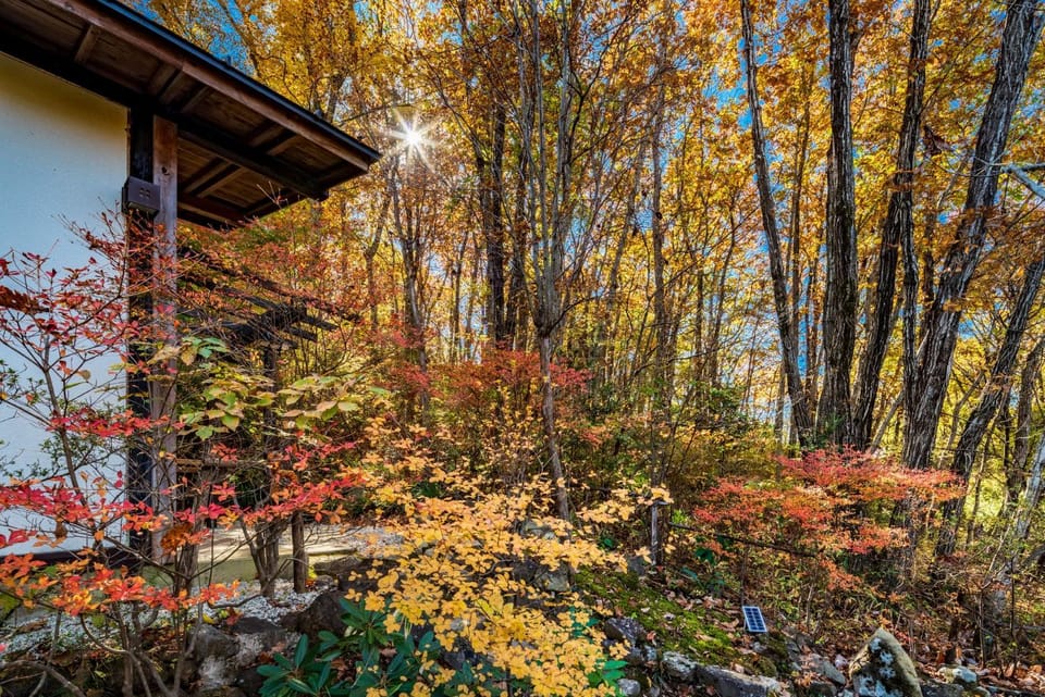 Natural landscape