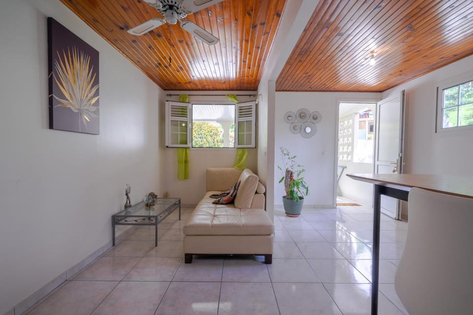 Living room, fireplace