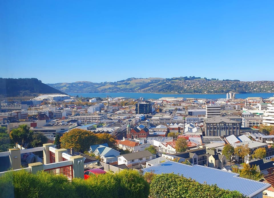 Work Stay at 123 Hostel in Dunedin