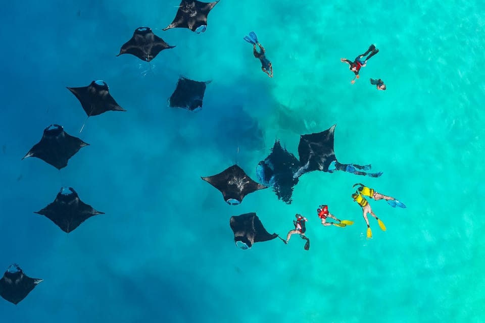 Snorkeling, Diving