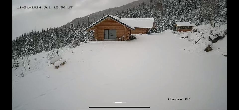 Cabana De Vis Pietrosul House in Romania