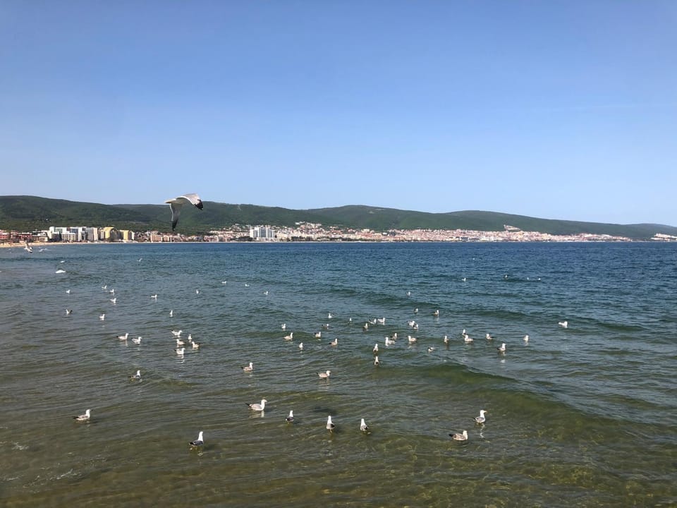 Sirena blisko do morza Apartment in Burgas Province