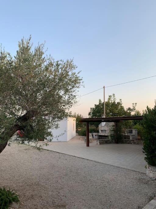 Trullo e Depandance Palma Apartment in Province of Taranto