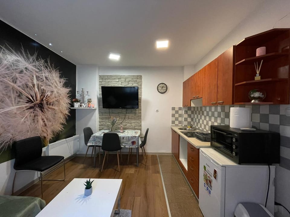 Cozy 1B Apartment Vera-self check in Apartment in City of Zagreb