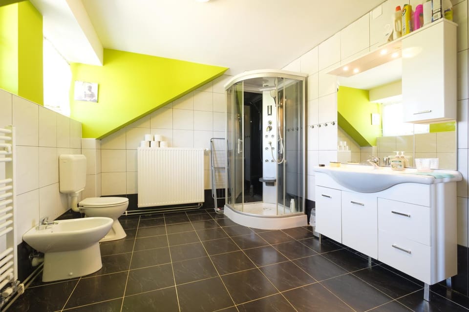 Shower, Toilet, Bathroom, bidet