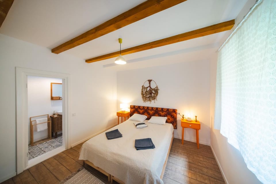 CASA LILA Bed and Breakfast in Prahova, Romania