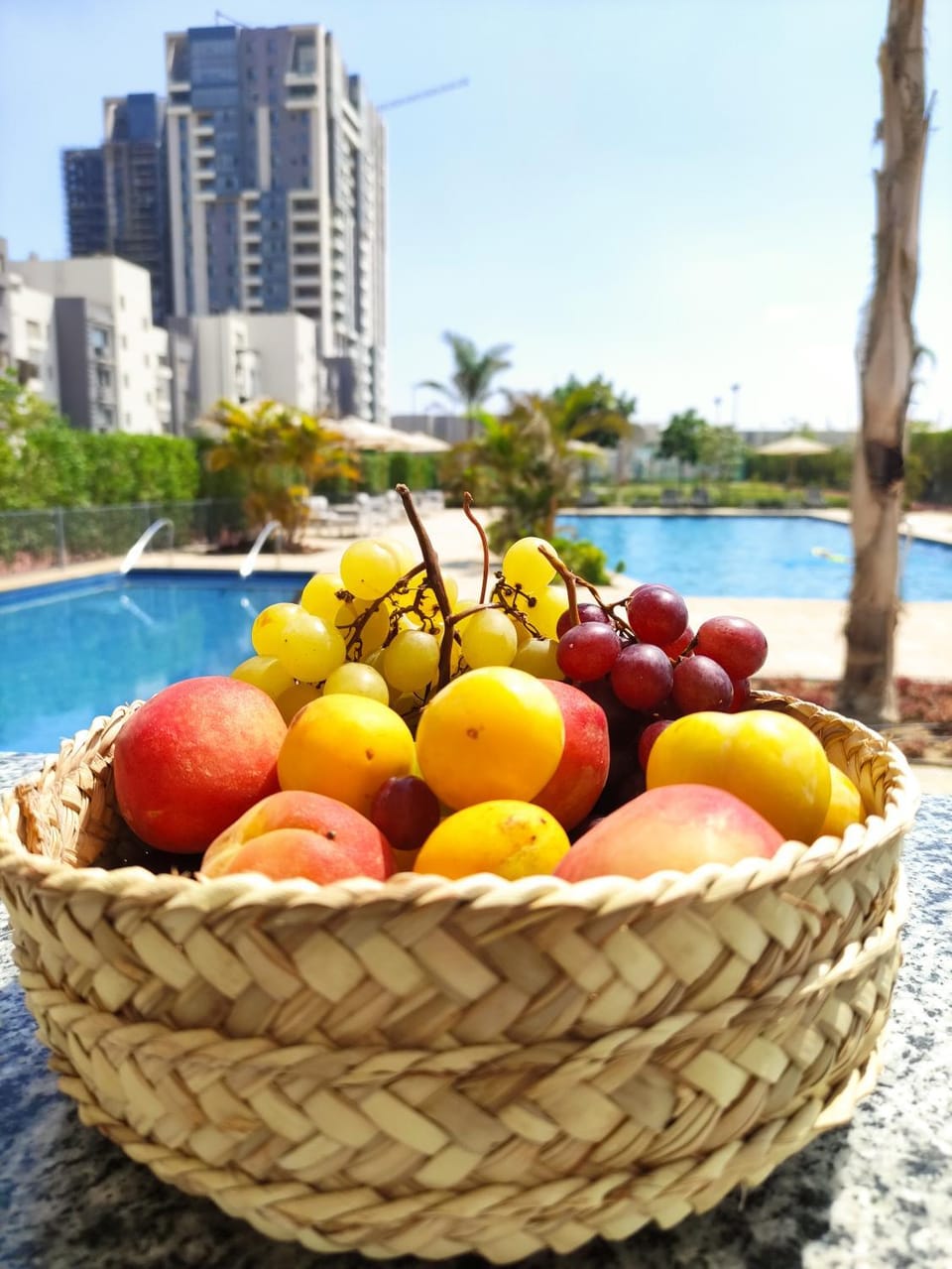 Food and drinks, Swimming pool