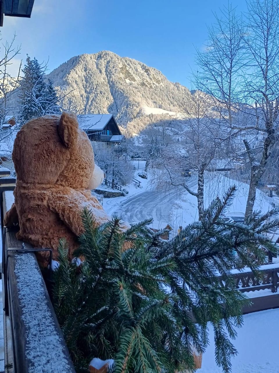 Chalet Appart'Hôtel l'Eau Vive Apartment hotel in Haute-Savoie