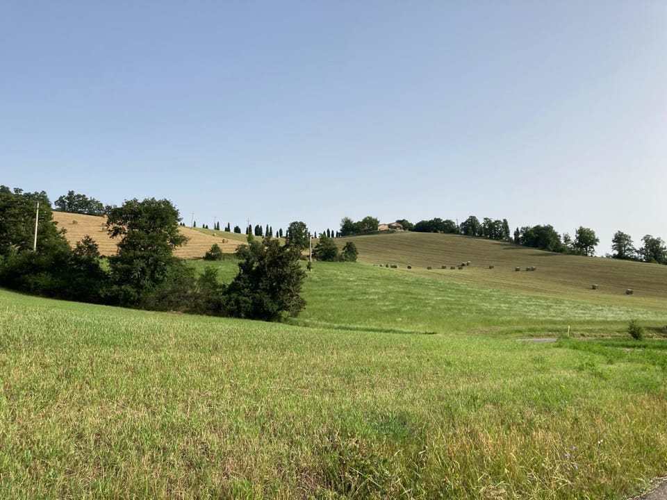 Natural landscape
