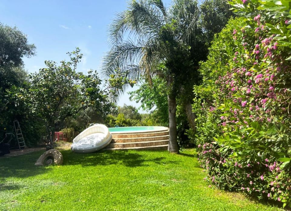Garden, Swimming pool