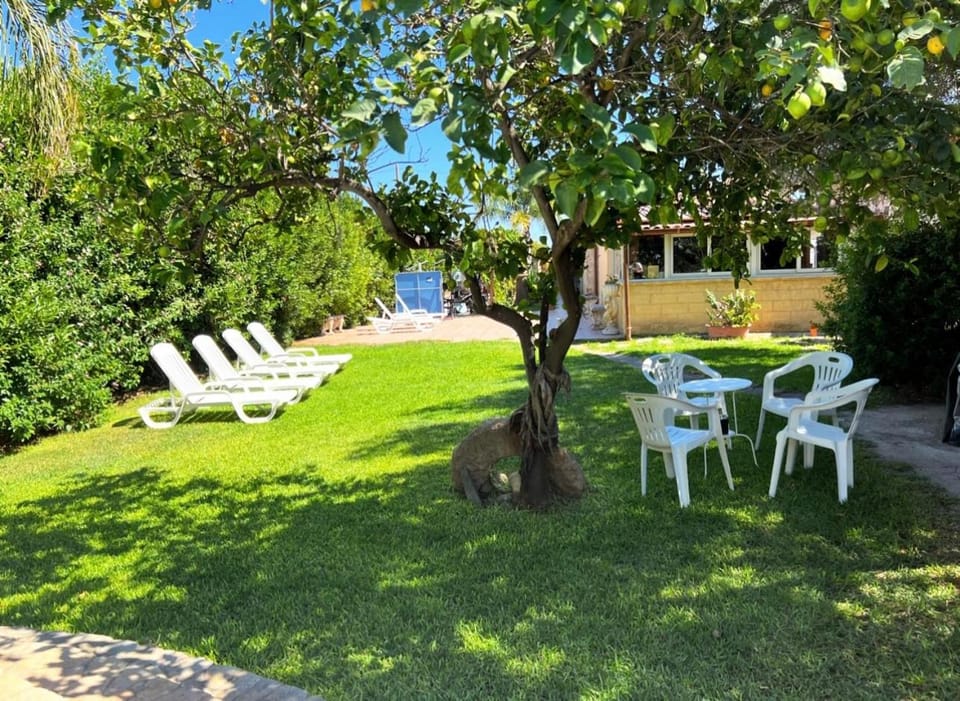 Day, Garden view, sunbed