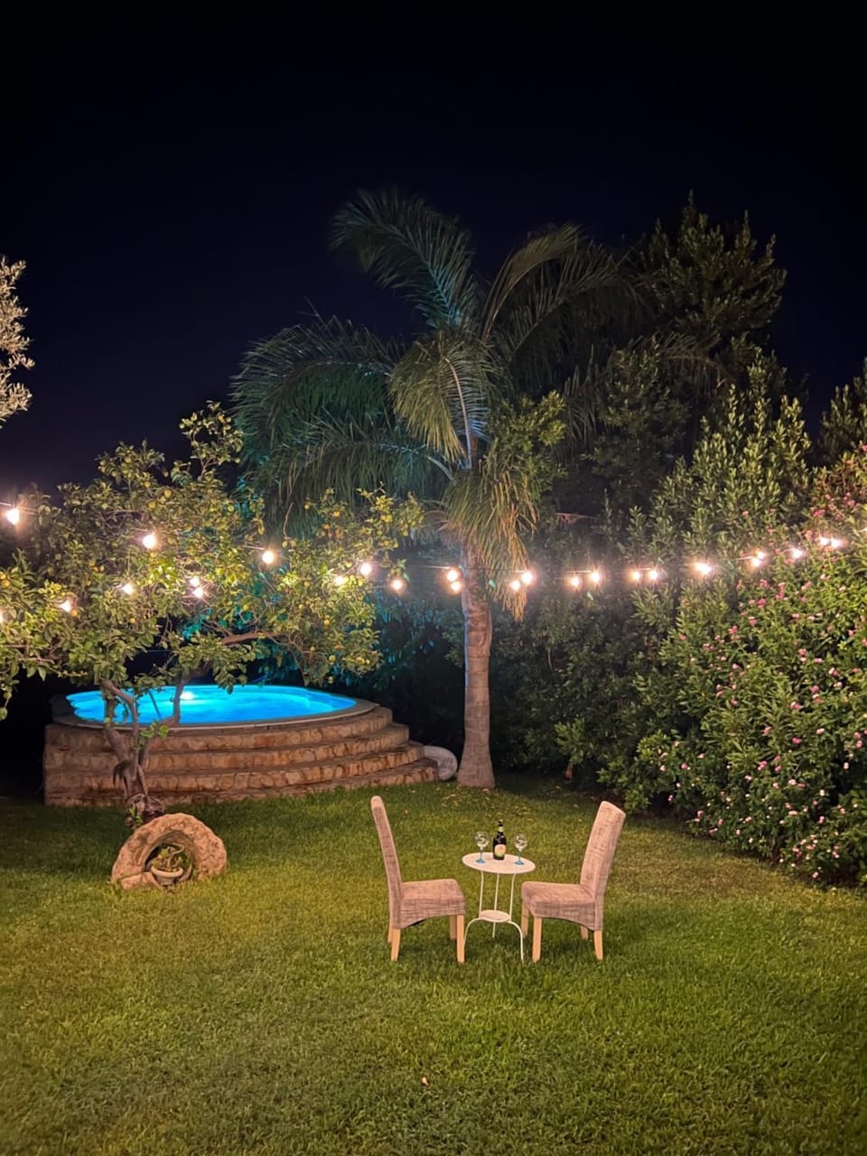 Patio, Night, Garden, Garden view, Pool view, Swimming pool