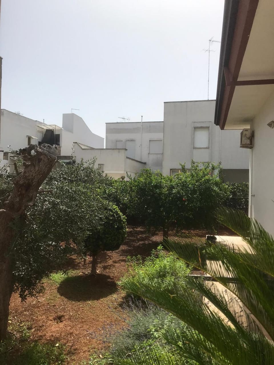 Garden, Inner courtyard view