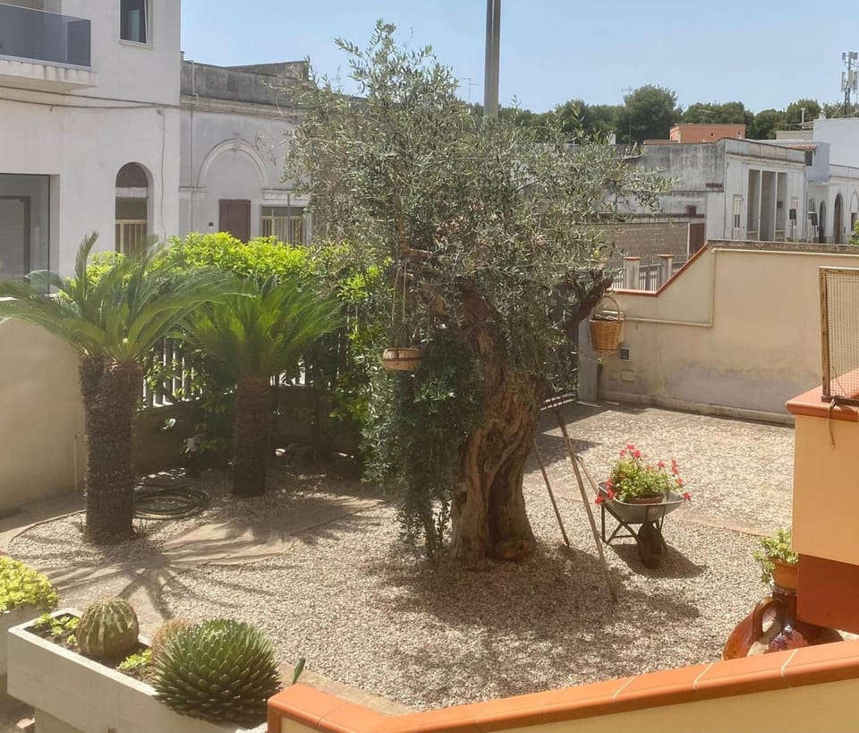 Garden, Garden view