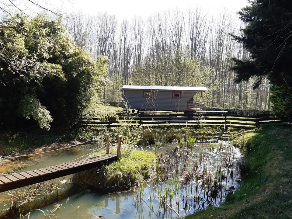 Day, Natural landscape
