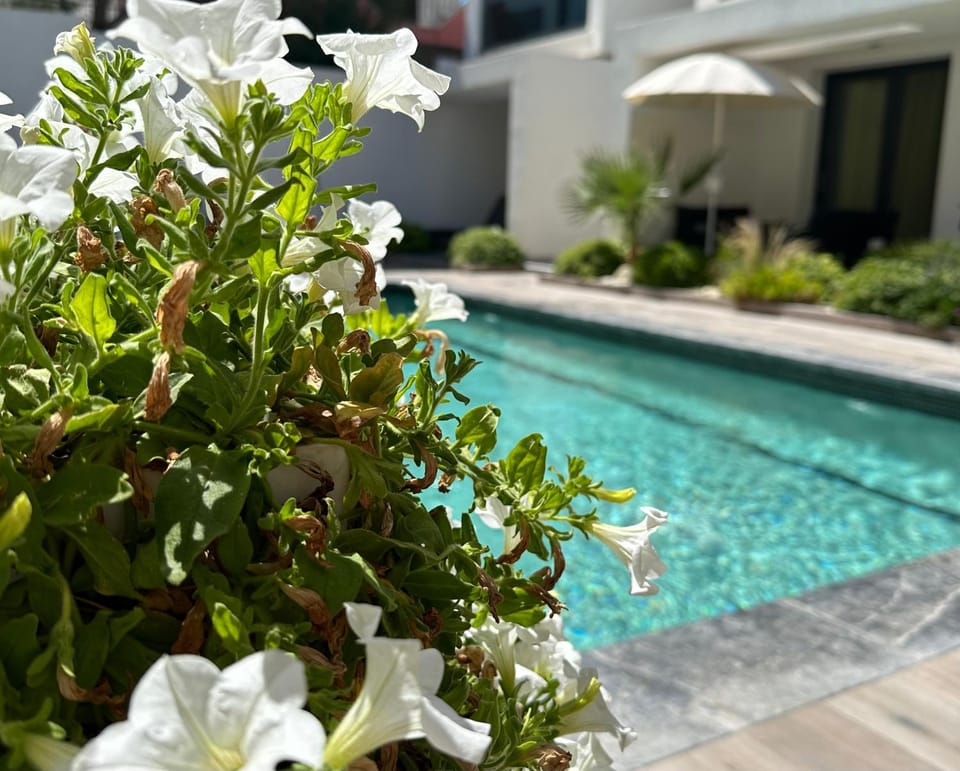 Kallithea love paradise pool & garden Apartment in Halkidiki