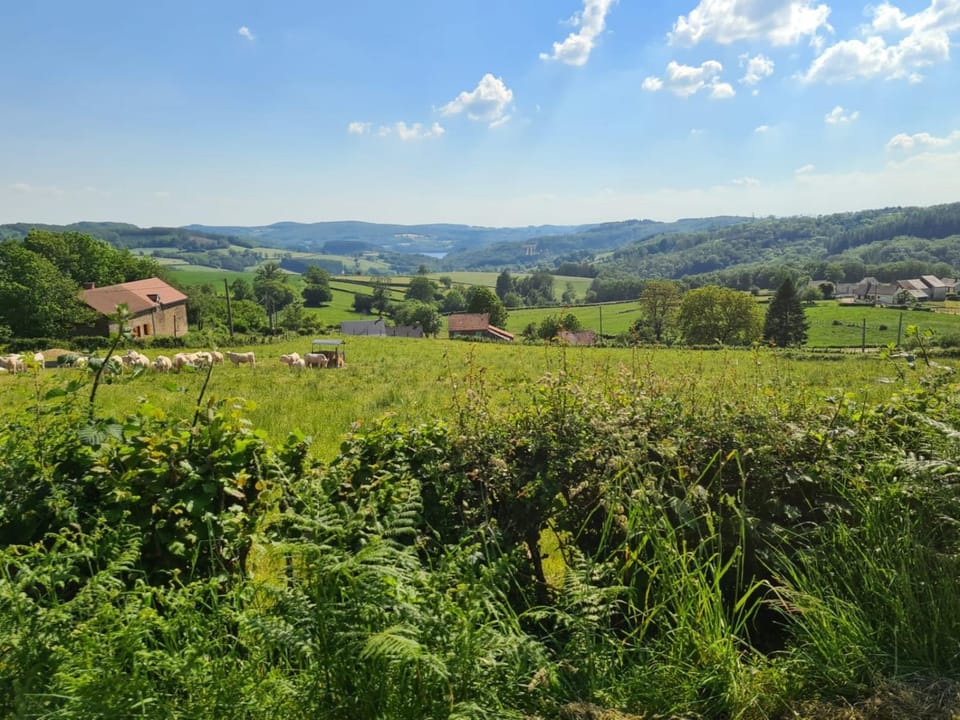 Spring, Day, Neighbourhood, Natural landscape, Cycling, Area and facilities