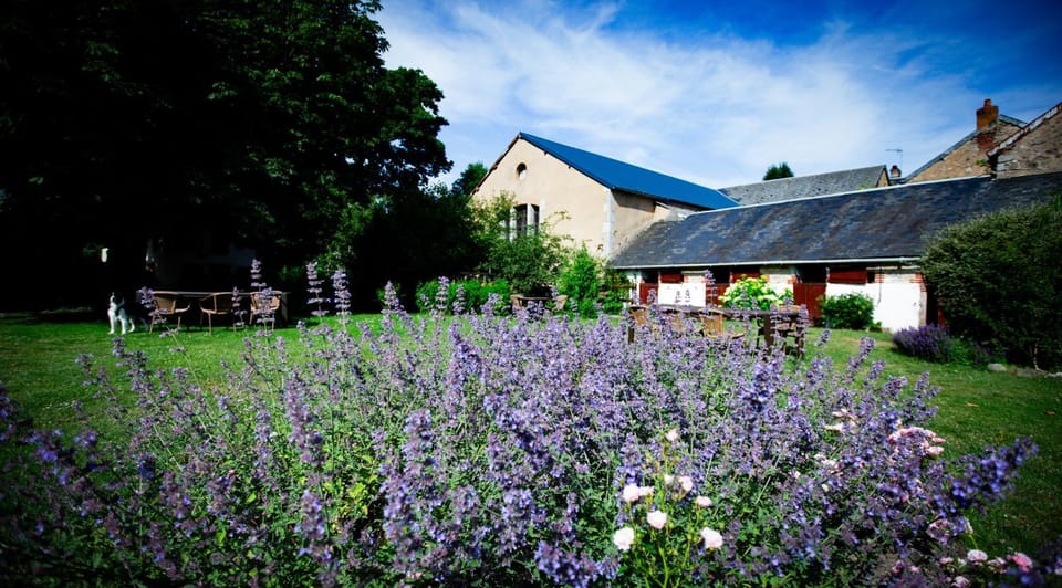 Summer, Garden, Location, Inner courtyard view