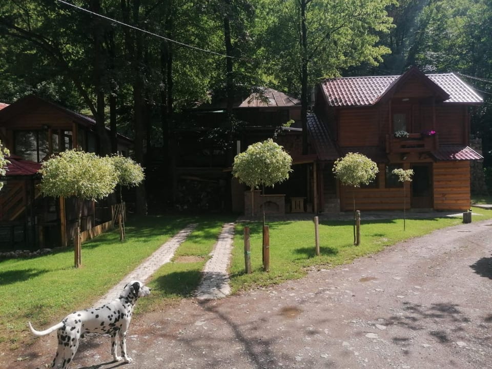 Vikendica Matovic Ovcar Banja Apartment in Zlatibor District, Serbia